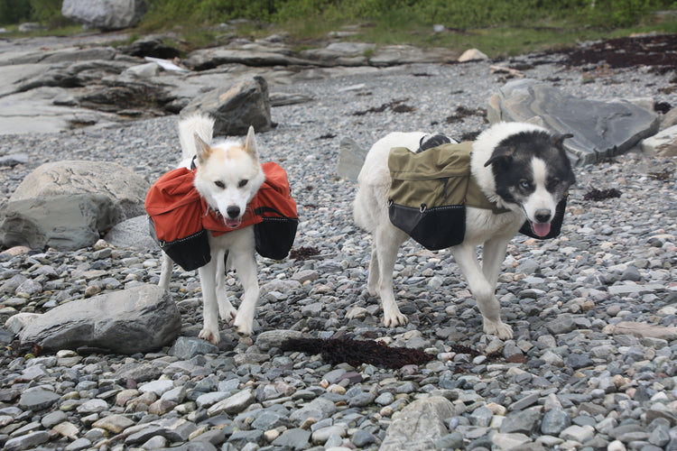 Laika Hundekløv