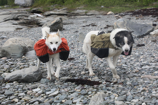 Laika Hundekløv
