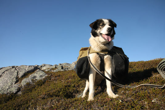 Laika Originalkløv