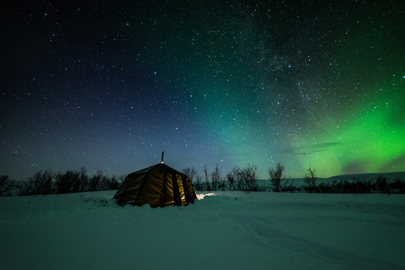 Last inn bildet i gallerivisningen, Venor Gamme - easy - beige
