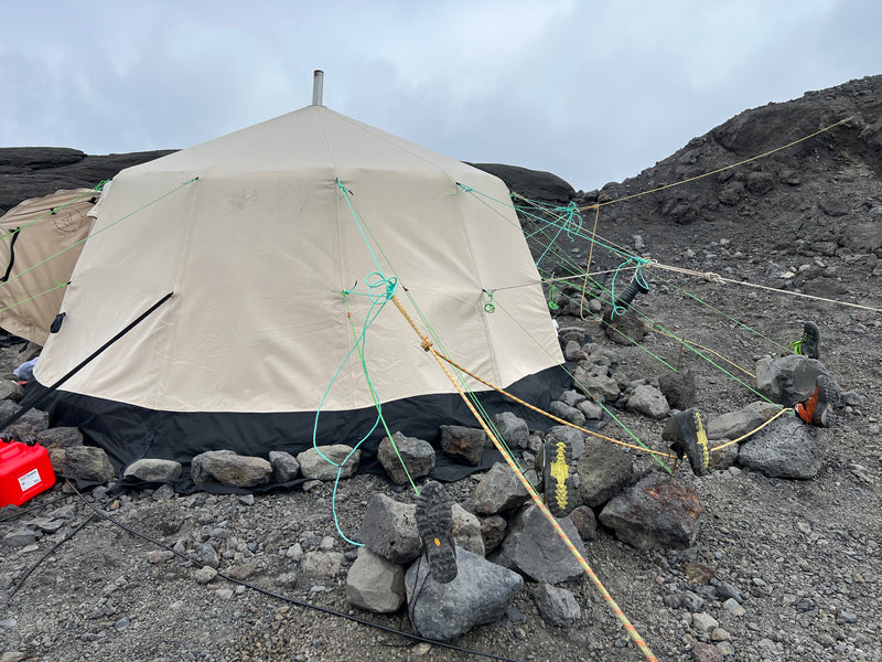 Last inn bildet i gallerivisningen, Venor Gamme - expedition - beige
