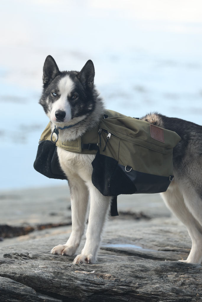 Last inn bildet i gallerivisningen, Laika Originalkløv
