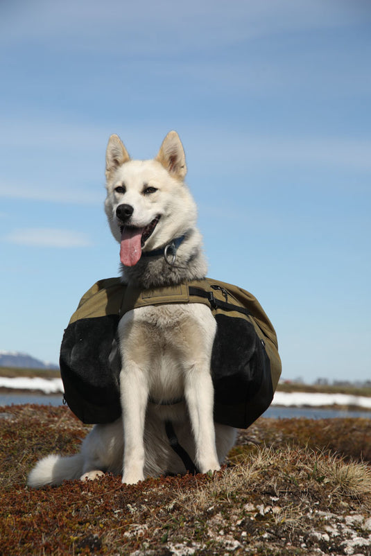 Laika Originalkløv