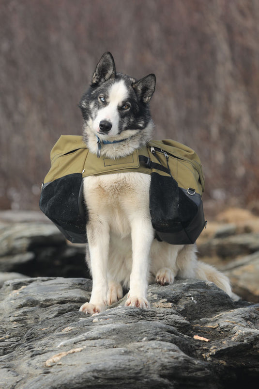 Laika Originalkløv
