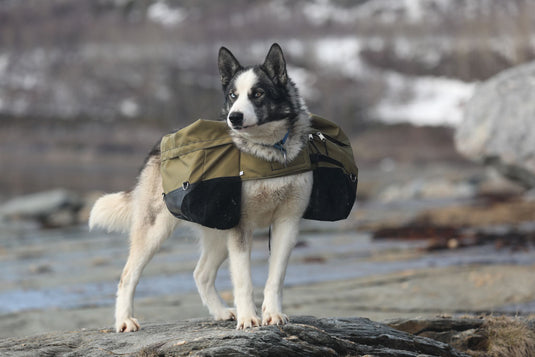 Laika Originalkløv