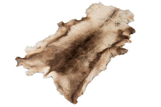 Reinskinn