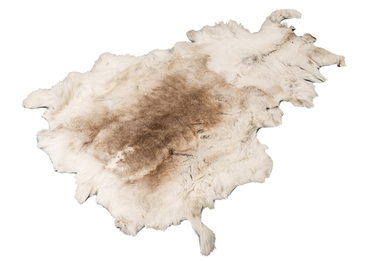 Reinskinn