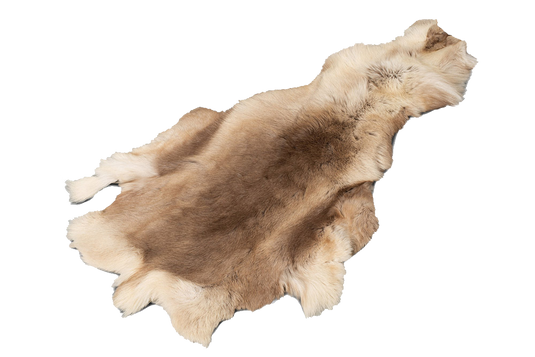 Reinskinn