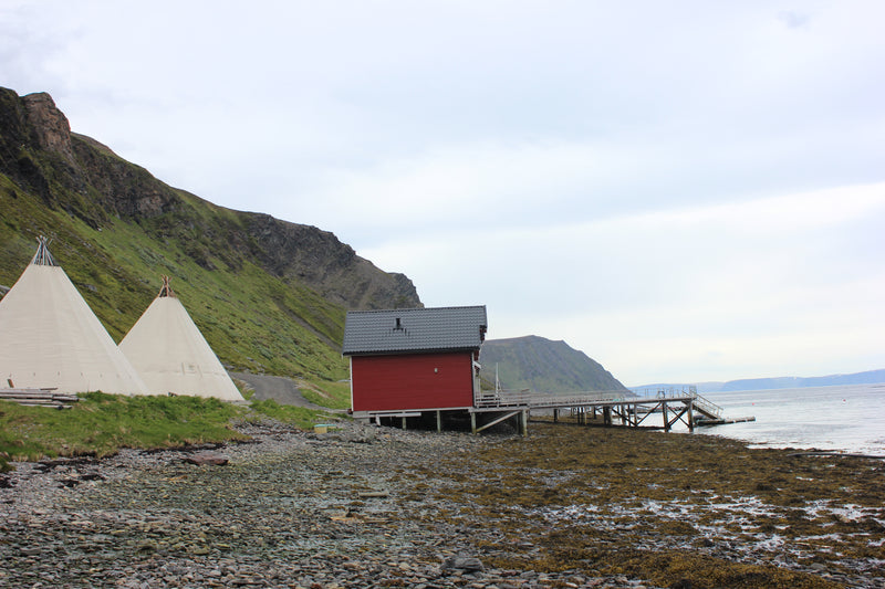 Last inn bildet i gallerivisningen, Venor Storlavvo 80 - duk
